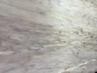 Kalinga Stone
